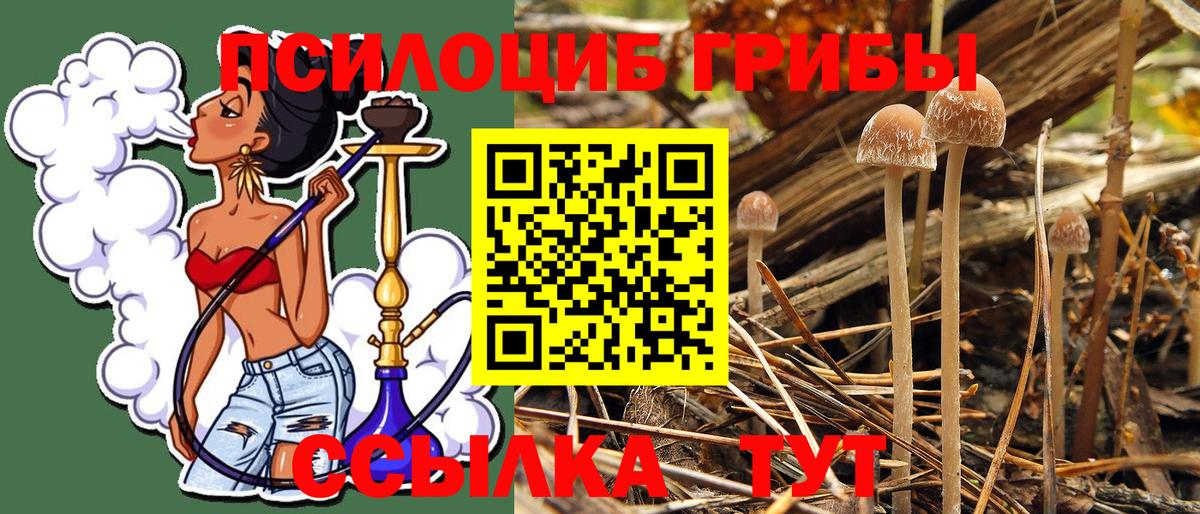 Галлюциногенные грибы MAGIC MUSHROOMS Дальнереченск