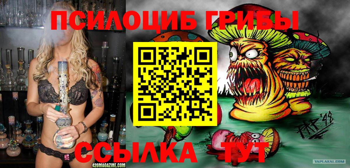 Галлюциногенные грибы MAGIC MUSHROOMS  Вход с VPN  Галлюциногенные грибы GOLDEN TEACHER  Дальнереченск 